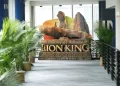 «Mufasa : Le Roi Lion» débarque dans les salles de cinéma nationales