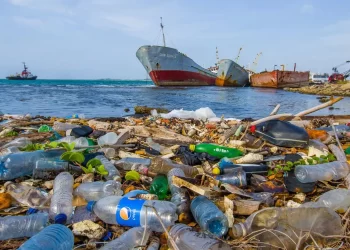 Les Marocains soutiennent la lutte contre les déchets plastiques selon les résultats d&rsquo;une enquête sur les comportements environnementaux