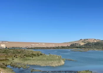 Le Maroc face à la crise de l&rsquo;eau : Déclin des ressources et stratégies d&rsquo;adaptation