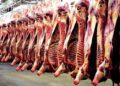 Crise des viandes rouges au Maroc : flambée des prix et dégradation des normes d’hygiène