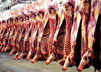 Crise des viandes rouges au Maroc : flambée des prix et dégradation des normes d’hygiène