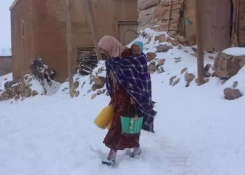 Solidarité hivernale : les associations en première ligne pour soutenir les populations vulnérables