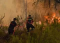 Un incendie dévastateur ravage les forêts de Moukalata et Kitan près de Tétouan