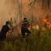 Un incendie dévastateur ravage les forêts de Moukalata et Kitan près de Tétouan