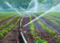 Un projet ambitieux pour la gestion de l&rsquo;eau et le développement agricole à Tamri