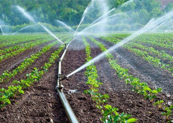 Un projet ambitieux pour la gestion de l&rsquo;eau et le développement agricole à Tamri
