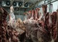 Les prix des viandes rouges restent élevés.. les consommateurs s&rsquo;interrogent sur l&rsquo;efficacité des importations