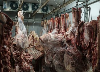 Les prix des viandes rouges restent élevés.. les consommateurs s&rsquo;interrogent sur l&rsquo;efficacité des importations
