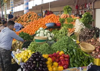 Le Maroc, un acteur clé du marché agricole britannique et de la sécurité alimentaire mondiale