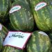 Chute historique des exportations marocaines de pastèques en 2024