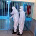 79 cas de rougeole détectés dans les prisons marocaines, une campagne de vaccination en cours