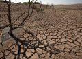 La souveraineté alimentaire du Maroc face aux défis climatiques : Un secteur agricole vulnérable