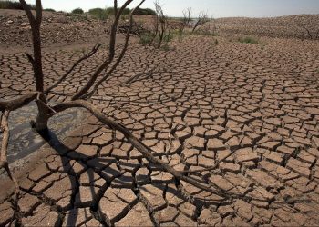 La souveraineté alimentaire du Maroc face aux défis climatiques : Un secteur agricole vulnérable