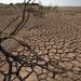 La souveraineté alimentaire du Maroc face aux défis climatiques : Un secteur agricole vulnérable