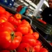 Les prix des tomates continuent de grimper tandis que les fruits restent stables à Casablanca