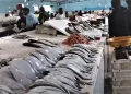 La baisse des prix du poisson à Casablanca : une lueur d’espoir pour les consommateurs