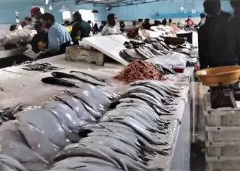 La baisse des prix du poisson à Casablanca : une lueur d’espoir pour les consommateurs