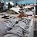 La baisse des prix du poisson à Casablanca : une lueur d’espoir pour les consommateurs