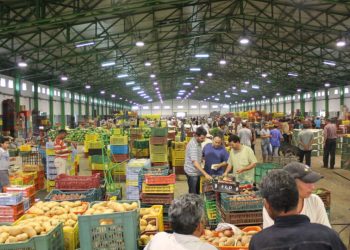 Le Marché de Gros des Fruits et Légumes de Casablanca enregistre des résultats historiques en 2024