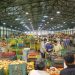 Le Marché de Gros des Fruits et Légumes de Casablanca enregistre des résultats historiques en 2024