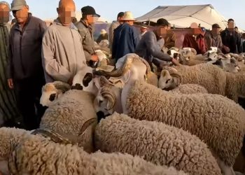 Les courtiers de la santé se multiplient…