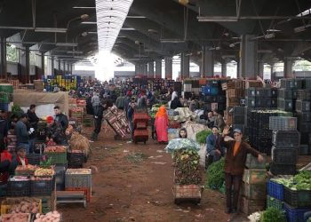 Les marchés se soulèvent en l&rsquo;absence du gouvernement