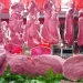 Le marché des viandes rouges au Maroc : Une crise persistante malgré les mesures gouvernementales
