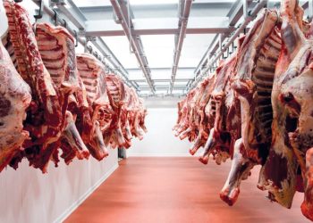 L’équation de la viande… Grandes exonérations fiscales et prix élevés