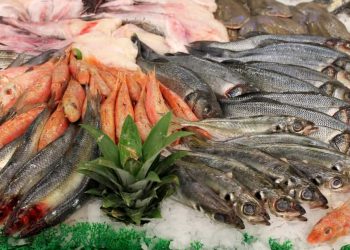Qu’est-ce qui a poussé la secrétaire d’État au marché aux poissons ?