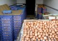 La hausse des prix des œufs au Maroc déclenche une guerre d’accusations entre producteurs et distributeurs