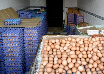La hausse des prix des œufs au Maroc déclenche une guerre d’accusations entre producteurs et distributeurs