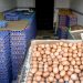 La hausse des prix des œufs au Maroc déclenche une guerre d’accusations entre producteurs et distributeurs