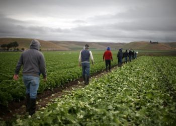« Si la pluie tombe en mars… Prépare tes chevaux pour labourer »