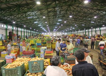 Hausse des prix des viandes, légumes et fruits sur les marchés de gros à Casablanca