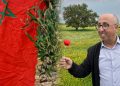 Notre sang et nos yeux, ô patrie… des étendards face à l’adversité