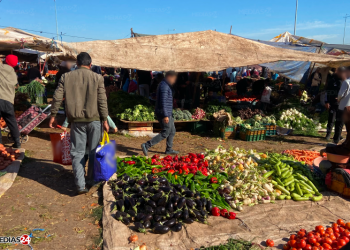 La hausse des prix des légumes au Maroc : qui est responsable ?
