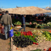 La hausse des prix des légumes au Maroc : qui est responsable ?