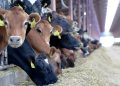 « Le scandale des importations » entre l’opposition et la majorité