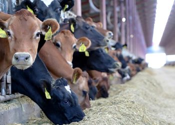 « Le scandale des importations » entre l&rsquo;opposition et la majorité