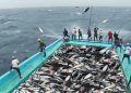 Climat et Efforts de Pêche : Défis et Solutions pour la Préservation des Stocks Halieutiques au Maroc