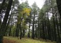  Sûreté nationale et protection de la vie naturelle : une responsabilité légale et un devoir citoyen