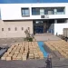 Saisie record de 3 tonnes de résine de cannabis à Essaouira et arrestation de trois suspects liés à un réseau de trafic international