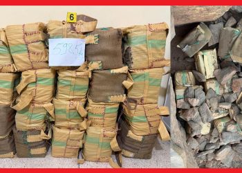Saisie de plus d&rsquo;une demi-tonne de chira et démantèlement d&rsquo;une tentative de trafic international près de Tata