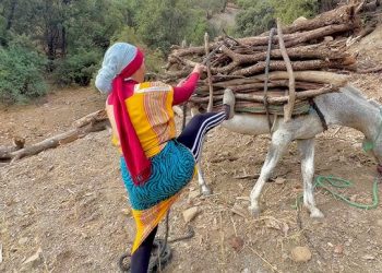 La jeune femme rurale à l’ère d’Akhannouch…