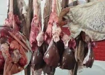 Les grandes infiltrations des “cheyaneqa” et des “fraqchia”