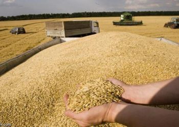 Le Maroc réduit ses importations de céréales dans un contexte de tension mondiale sur le blé