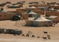 Rapport révèle l’abandon des camps de Tindouf par l’Algérie au profit du Polisario