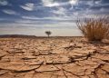 Nous détruisons notre climat de nos propres mains