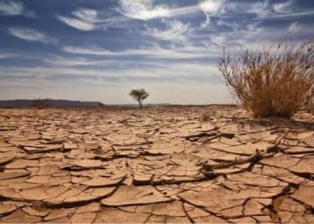 Nous détruisons notre climat de nos propres mains