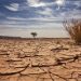 Nous détruisons notre climat de nos propres mains
